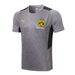 Borussia Dortmund Training Jersey 2021/22 Grey