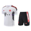 Bayern Munich White Training Kits 2022/23