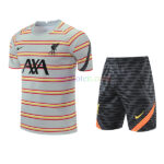 Liverpool Gray Stripes Training Kits 2022/23