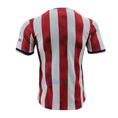Atletico Madrid Classic Training Jersey 2022/23 Player Version