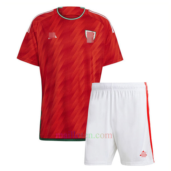 Pre-Order Wales Home Kit Kids 2022 | Mailloten Jersey